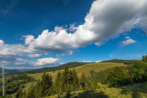View from the top of the mountains, wild forests in the Carpathian mountains, blue sky with white clouds. © Alpar
