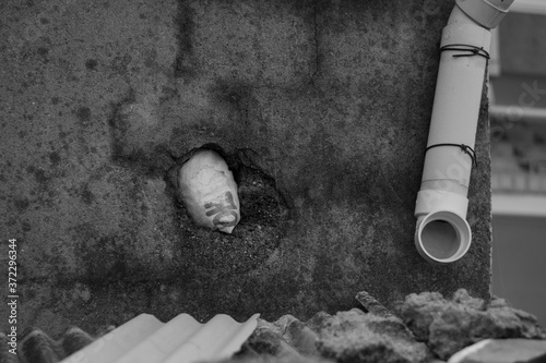 Old Korean street photography