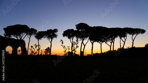 Wonderful sunset with a sky that turns red. In the foreground of the Mediterranean pine trees and ancient remains of a ancient Roman aqueduct.