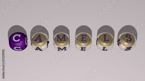 CAMELS text by cubic dice letters, 3D illustration for desert and animal