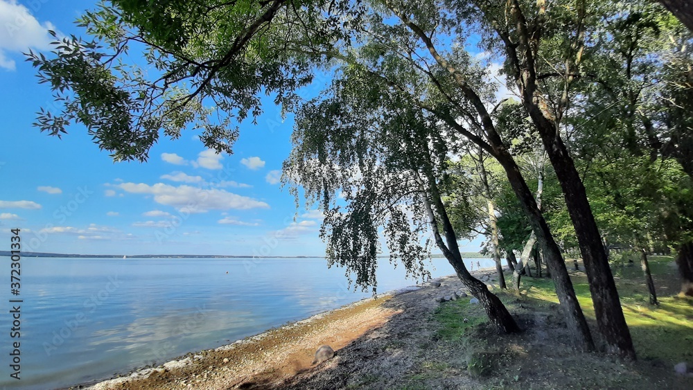 Baltic landscape with forest and lake shore