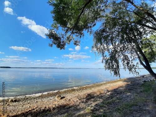 Baltic landscape with forest and lake shore