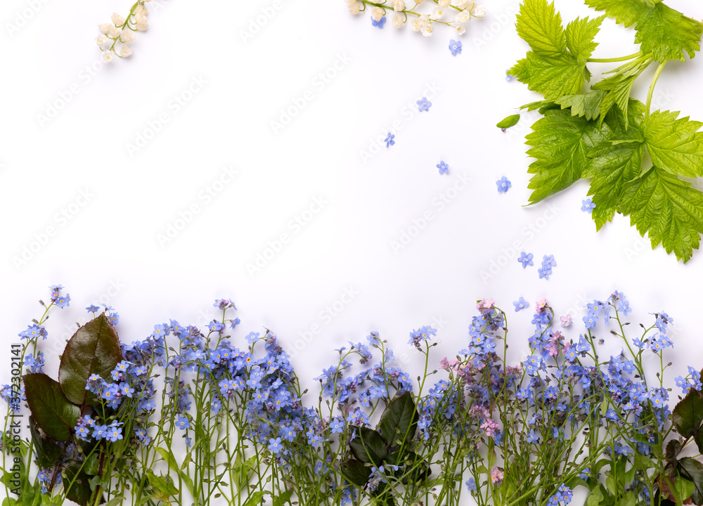 Obraz premium Flat lay view of small violet petal flowers and green leaves on white background.