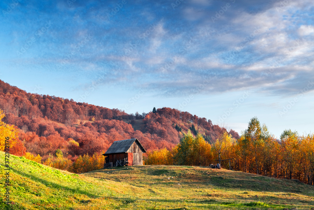 Picturesque autumn meadow with wooden house and red beech trees in the Carpathian mountains, Ukraine. Landscape photography