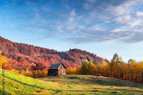 Picturesque autumn meadow with wooden house and red beech trees in the Carpathian mountains, Ukraine. Landscape photography © Ivan Kmit