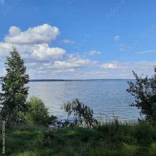 Baltic landscape with forest and lake shore