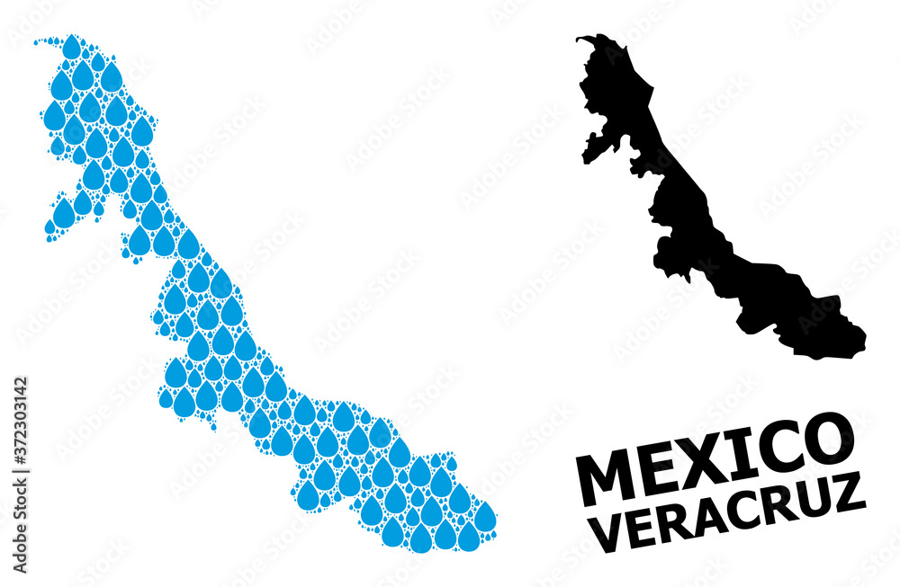 Vector Mosaic Map of Veracruz State of Water Drops and Solid Map
