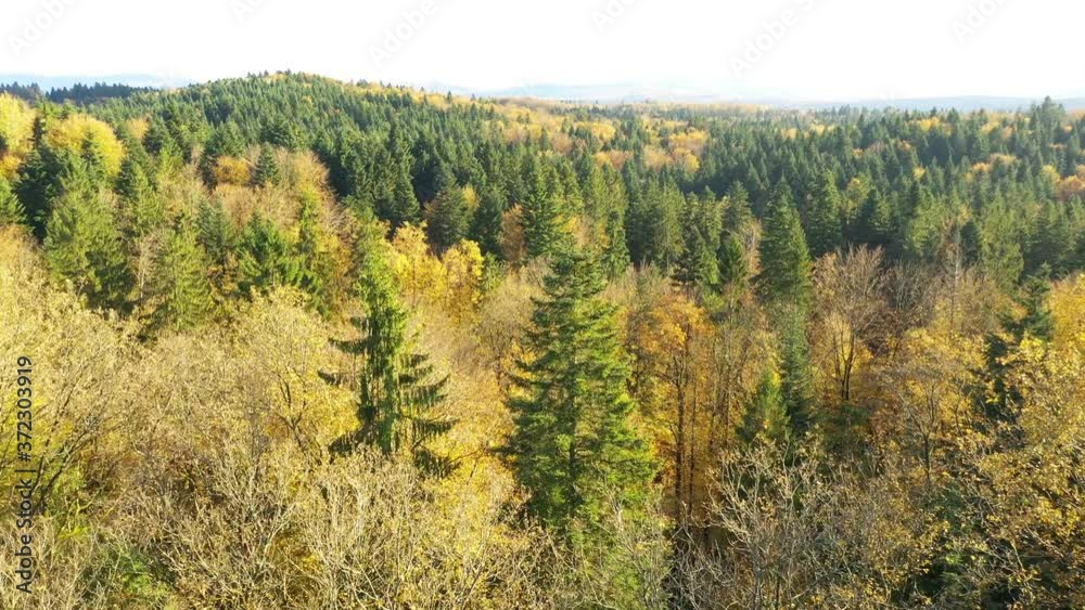 Autumn sunny aerial view of forest landscape. Beautiful fall season woodland. Drone shot. Autumn sunny aerial view of forest landscape. Beautiful fall season woodland. Drone shot.