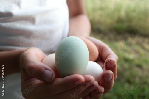 hands holding eggs