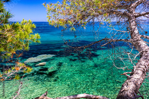 Elba Beach Livorno Italia Portoferraio