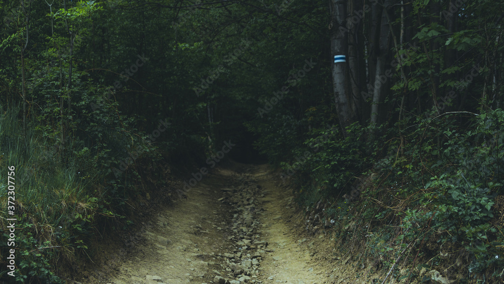 Naklejka premium Górski szlak turystyczny