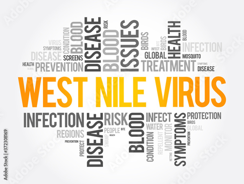 West Nile Virus word cloud collage, health concept background