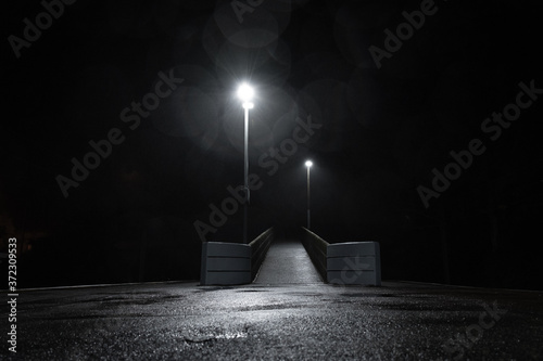 Принти на полотні Pathway from a train station on a drizzly night in New Zealand