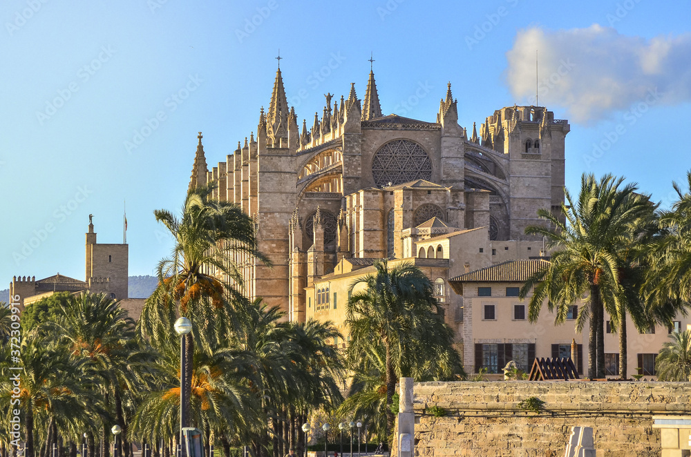Beautifull sunny view from Mallorca city