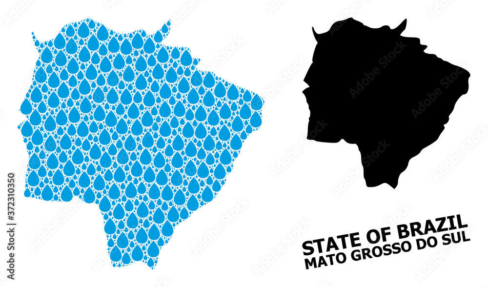 Vector Collage Map of Mato Grosso Do Sul State of Liquid Drops and Solid Map