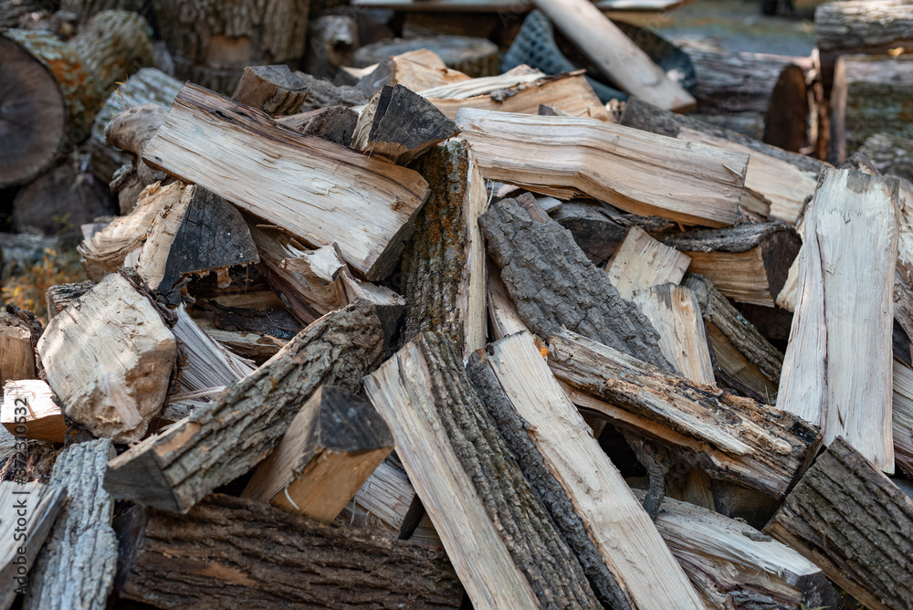 Outdoor shot of a stacked pile of firewood lit by beautiful warm rays of sunlight, feedstock Outdoor shot of a stacked pile of firewood lit by beautiful warm rays of sunlight, feedstock