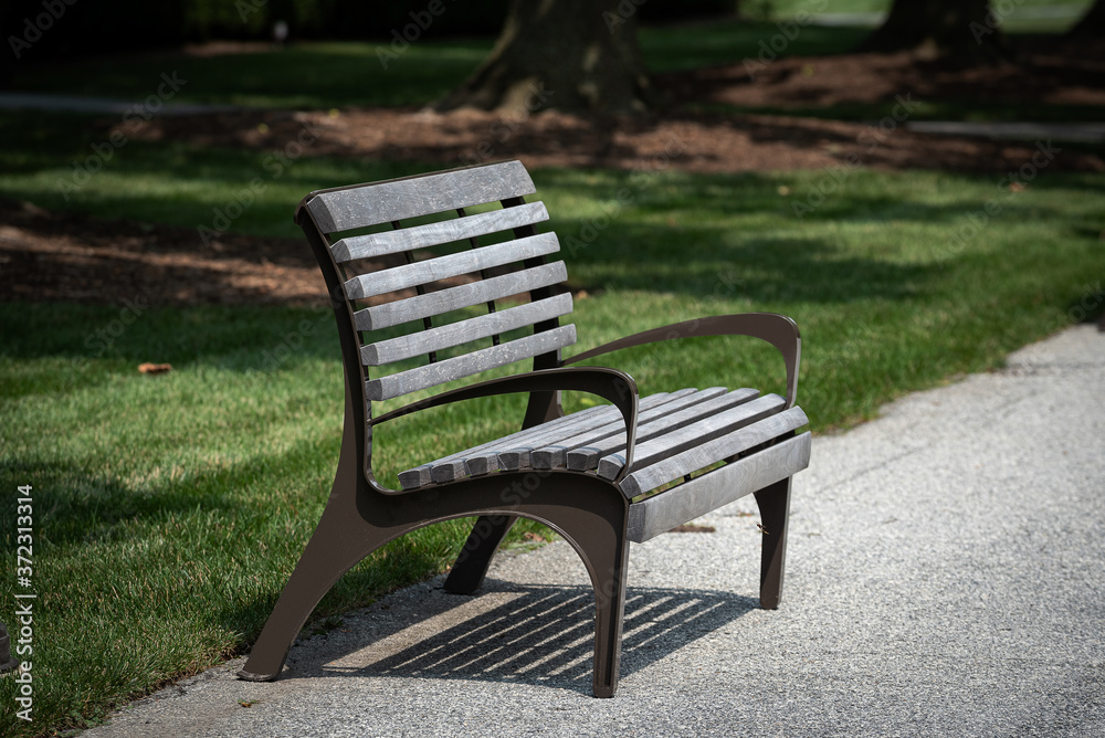 bench at a park tree natural in park at summer time.
