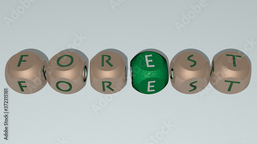 forest text by cubic dice letters, 3D illustration for background and beautiful