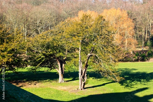 Dalkeith Country Park
