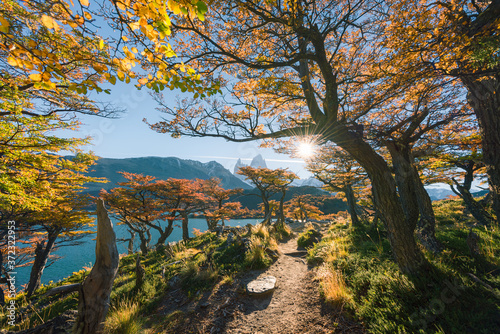 Picture of bright colorful forest and road, sun rays and snowy mountains. Argentine tourist attraction. Autumn landscape.