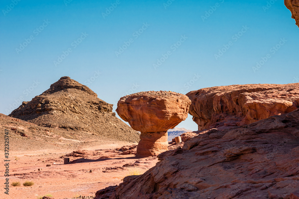 Sculpture Mushroom made by nature in the Arava Valley near Eilat. Timna Park. Israel. 
