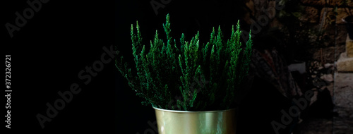 Panel kuchenny z motywem Zielony wrzos na czarnym tle. Czarny zielony. Ciemne kolory kwiaty. 