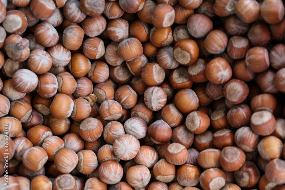 background of hazelnut close up top view background of hazelnut close up top view