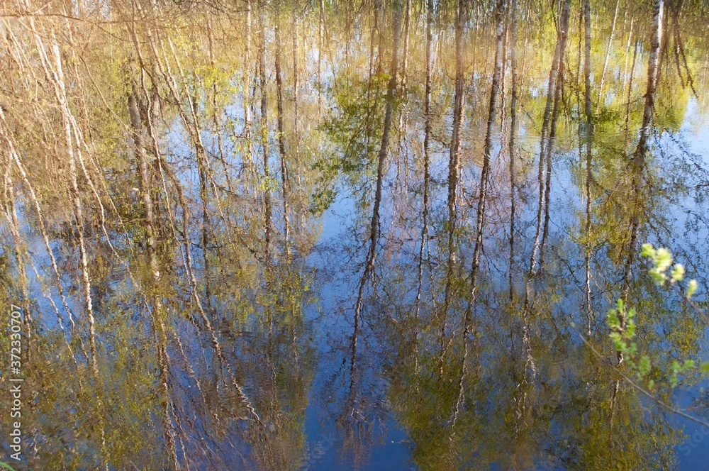Fototapeta premium Odbicie kolorowych drzew i nieba w leśnym stawie 