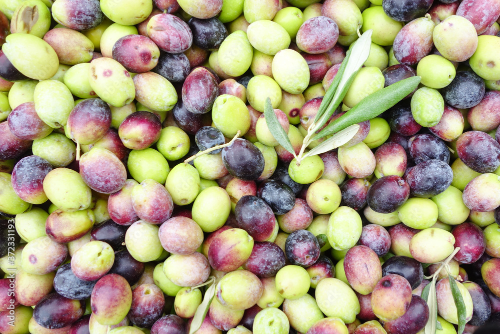 Raw olives 