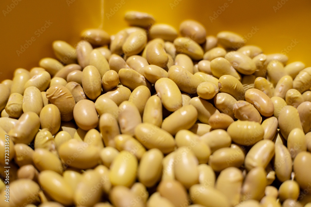 peruvian beans close up in a strainer peruvian beans close up in a strainer