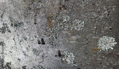 Obraz na płótnie Photo texture for the interior in the loft style w salonie