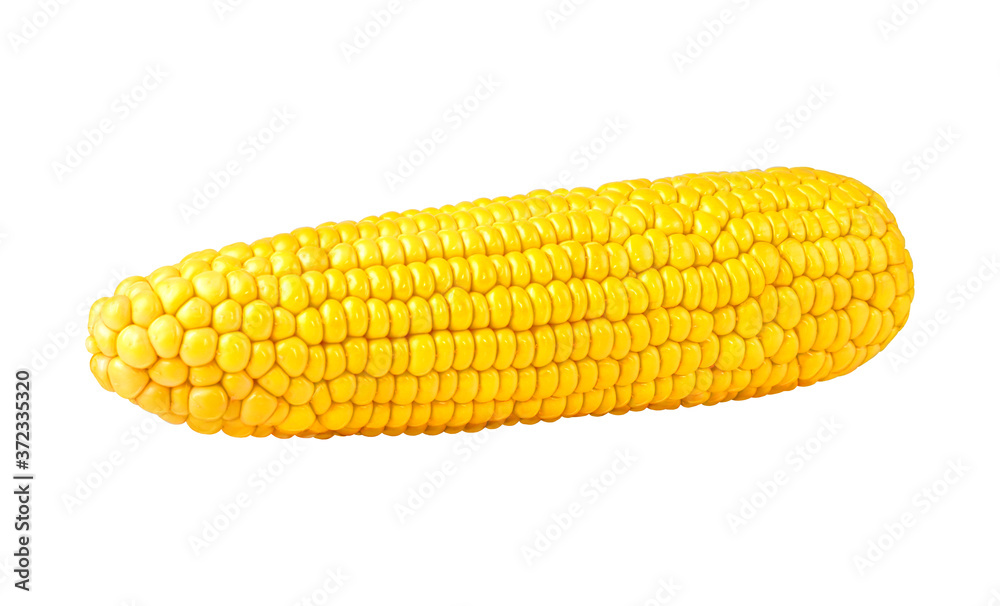Perfect ear of corn without leaves isolated on white background. Ready for clipping path. Perfect ear of corn without leaves isolated on white background. Ready for clipping path.