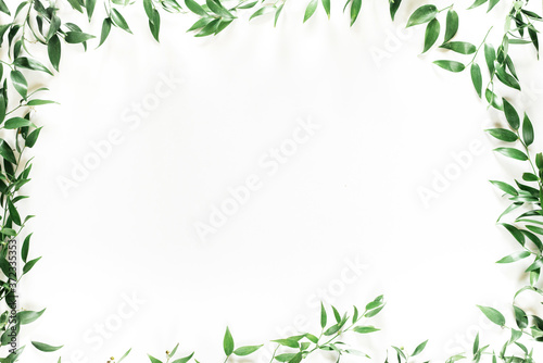 tree green leaf frame on white