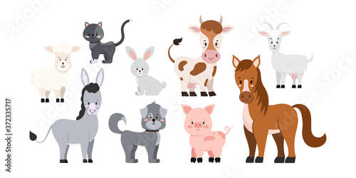 Farm livestock animals set isolated on white background. Cute and funny cartoon character - sheep, goat, cow, donkey, horse, pig, cat, dog, rabbit. Vector flat design clip art illustration.