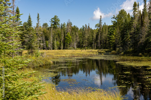 Beautiful Canadian lake landscape along Mizzy Lake Trail in Algonquin Provincial Park
