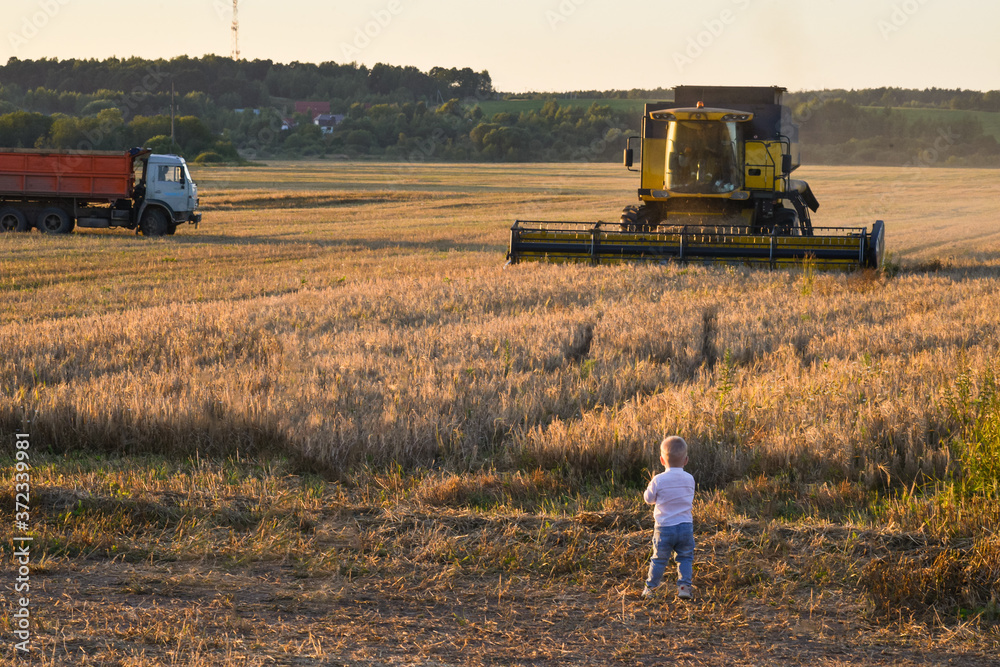 combine harvester working in a field and little boy looking at this harvesting