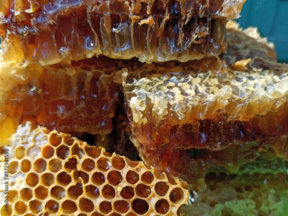 Fresh honey in comb. Healthy food concept, diet