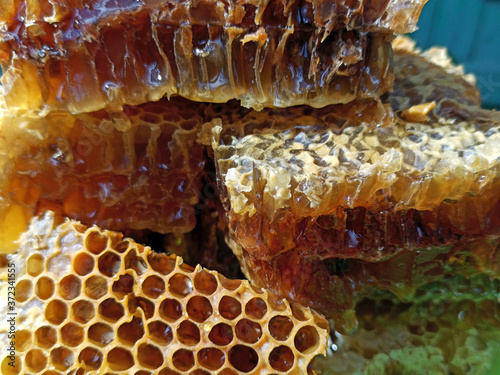 Fresh honey in comb. Healthy food concept, diet
