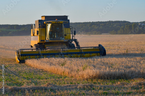 Obraz na płótnie combine harvester working on a wheat field w salonie