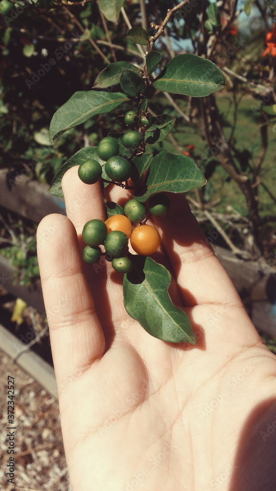 Processed with VSCO with acg preset Processed with VSCO with acg preset
