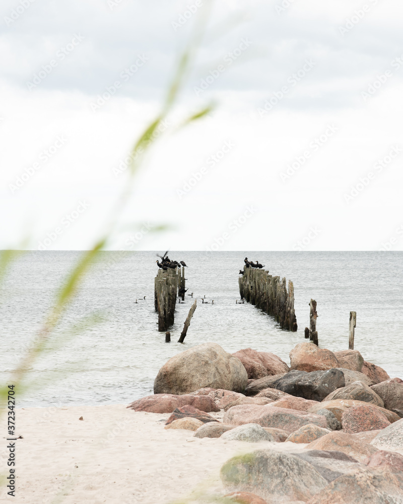 old pier in the sea from withered old wooden stakes with birds