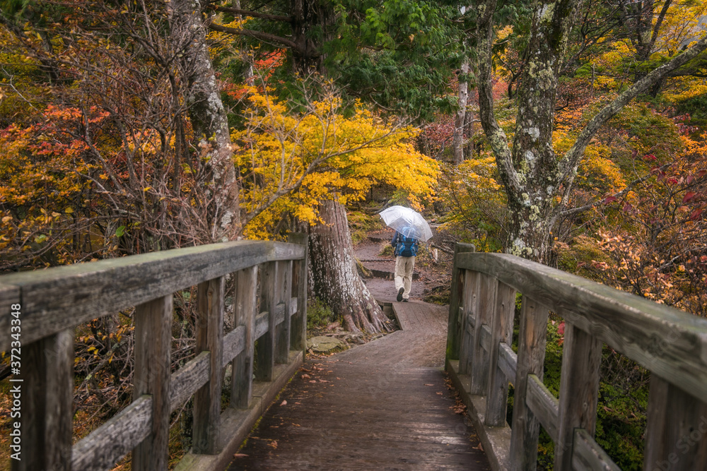 Japanese on the bridge in the autumn park Japanese on the bridge in the autumn park