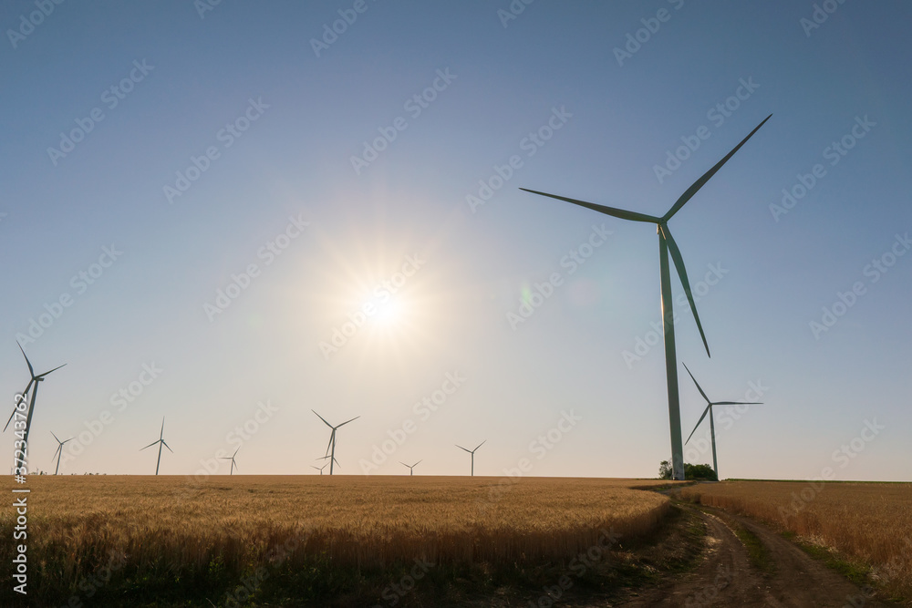 Wind turbines in a wheat field at sunset background. Green energy Wind turbines in a wheat field at sunset background. Green energy