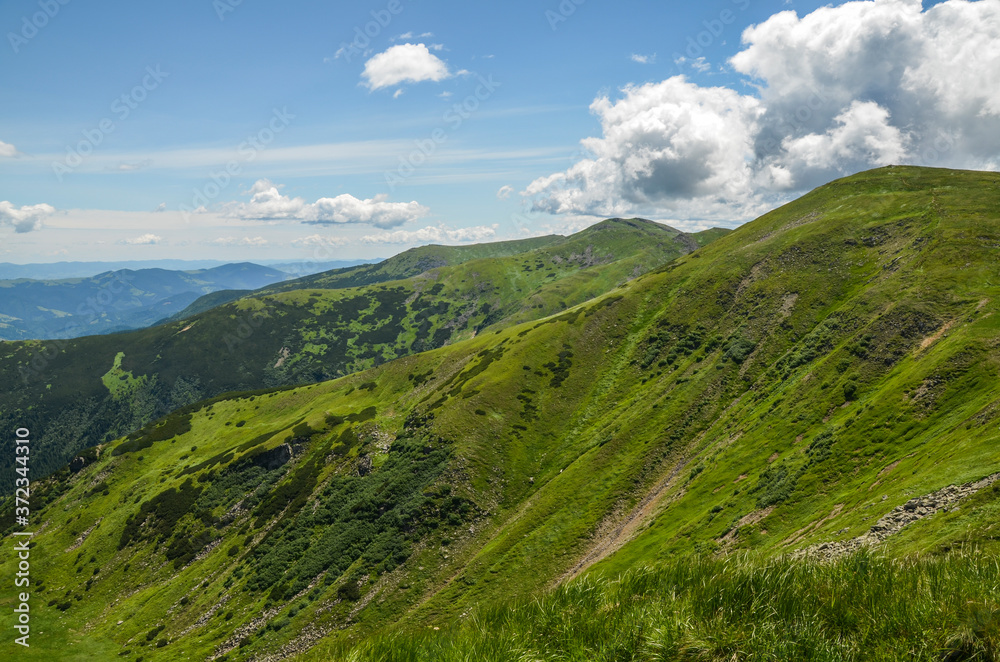 Beautiful landscape of green sunny hills and mountains. Travel concept. Carpathian mountains in summer. Beauty of nature. Hiking destination.