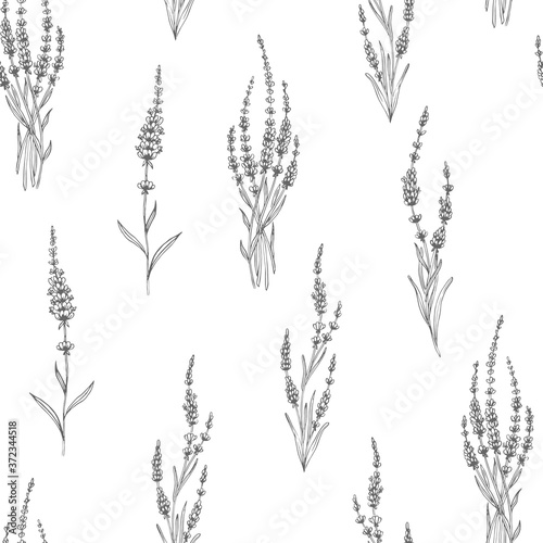Lavender seamless pattern. Perfect for wallpapers  web page backgrounds  surface textures  textile.