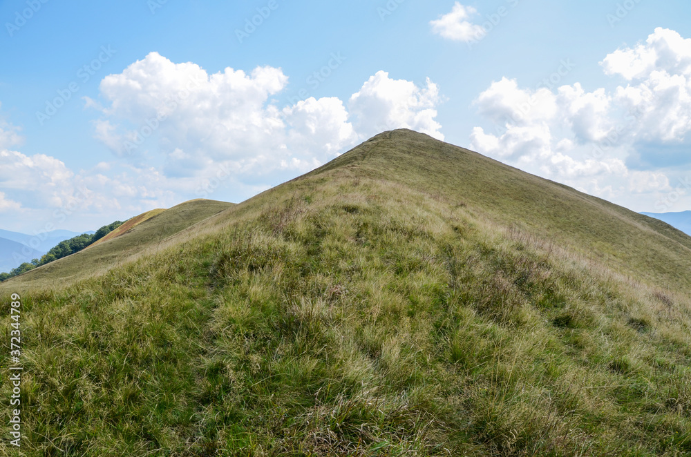 A beautiful mountain hills with grassy slopes in Carpathians. Transcarpathian region, Ukraine 