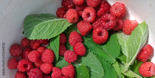 photo of raspberries and mint leaves. ingredients for mojito. Top view