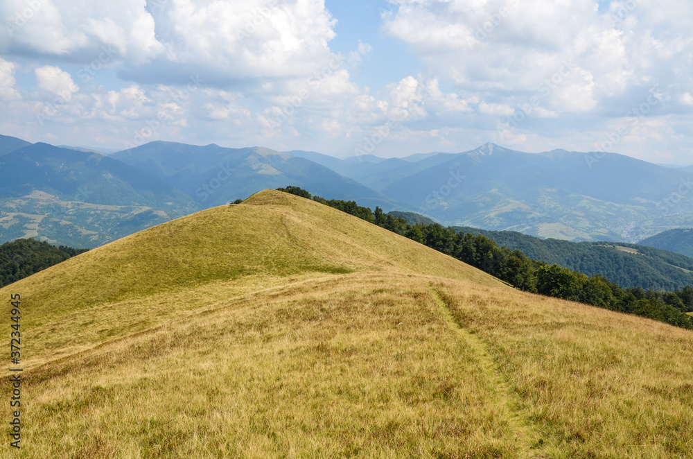 A beautiful mountain hills with grassy slopes in Carpathians. Transcarpathian region, Ukraine 