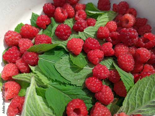 Obraz na płótnie photo of raspberries and mint leaves. ingredients for mojito. Top view w salonie