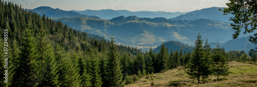 Panorama of Carpathian mountains in summer sunny day. Beauty world. Large resolution